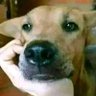 meyerRPG's profile picture
