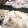 ひでちゃん profil fotoğrafı