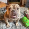 EleanorMae profil fotoğrafı