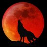 Jason AKA THE LONE WOLF 的头像