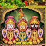 Фото профиля Sanjeev Mishra