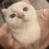 Profilbild von Rxna