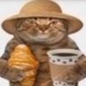 Фото профиля gato con pan