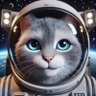 Chris's profile picture