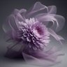 Фото профиля zizi2