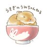 Profilbild von うさぎのうみちゃんねる