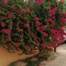 Фото профиля ناصر الودعاني