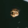 Profilbild von MokønTo