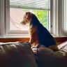 JKCJ profil fotoğrafı
