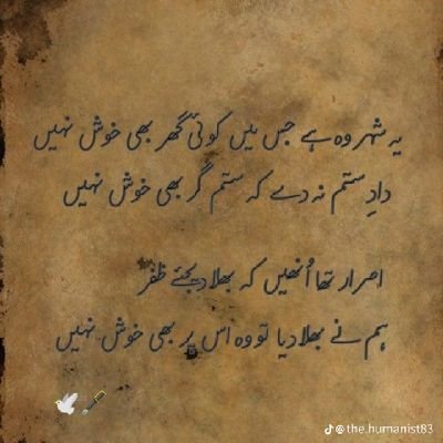 اسامہ🇵🇸's profile picture