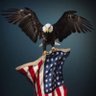 eagle11877's profile picture