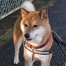 Фото профиля のるるん@介護職員