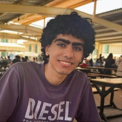 Amr Elmohamady's profile picture