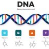 Biology and Nuclear Science profil fotoğrafı