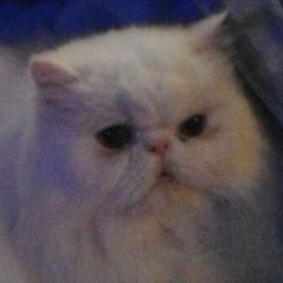 princess211110's profile picture