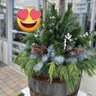 گاردينيا Gardenia's profile picture