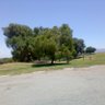 Profilbild von Get0ver2ice_258