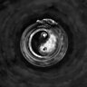 Profilbild von VOYAGER
