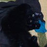 美緒cat profil fotoğrafı
