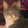 Maheen ماہین's profile picture
