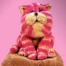 Bagpuss profil fotoğrafı