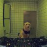 Brno 的头像