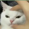 Hearken's profile picture