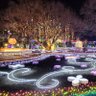 Фото профиля ララティー
