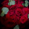 Profilbild von مـَــريم ❀