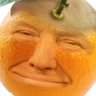 Profilbild von ORANGEMAN | $OMAN