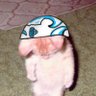 Profilbild von Jean ᦔ