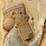 Фото профиля Dariush Ariamehr