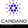 cardano ADA is the future of crypto's profile picture