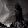 Lochinvar's profile picture