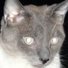 Profilbild von Russell from NYC
