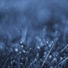 Фото профиля EddCats9