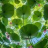 Фото профиля 我是你爹
