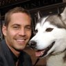 TheBUFFdog profil fotoğrafı