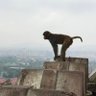 @Mo_Zi's profile picture