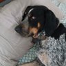 Elgin Radtke's profile picture