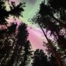 BH511's profile picture