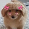 Profilbild von นอมอไปเรื่อย 🍪🥛💖
