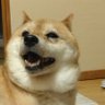 タカヒトアット's profile picture