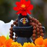 🌺 श्याम प्रेम दीवानी 🌺 profil fotoğrafı