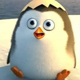 BLWilmon's profile picture