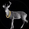 Jon's profile picture