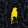 A.A Phoenix 的头像