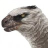 Sean Closson🦕🦖 profil fotoğrafı