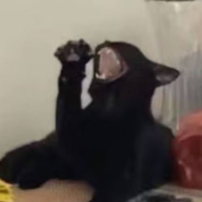 zhuxiaxia123's profile picture