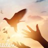 Ghannah🕊🇩🇪 profil fotoğrafı